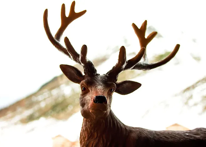 Sporthotel All-Inclusive Hotel Kühtai