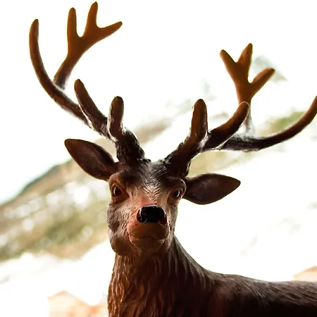 Sporthotel All-Inclusive Hotel Kühtai